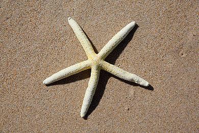 索尼确认PS+Premium的PS3游戏不支持DLC